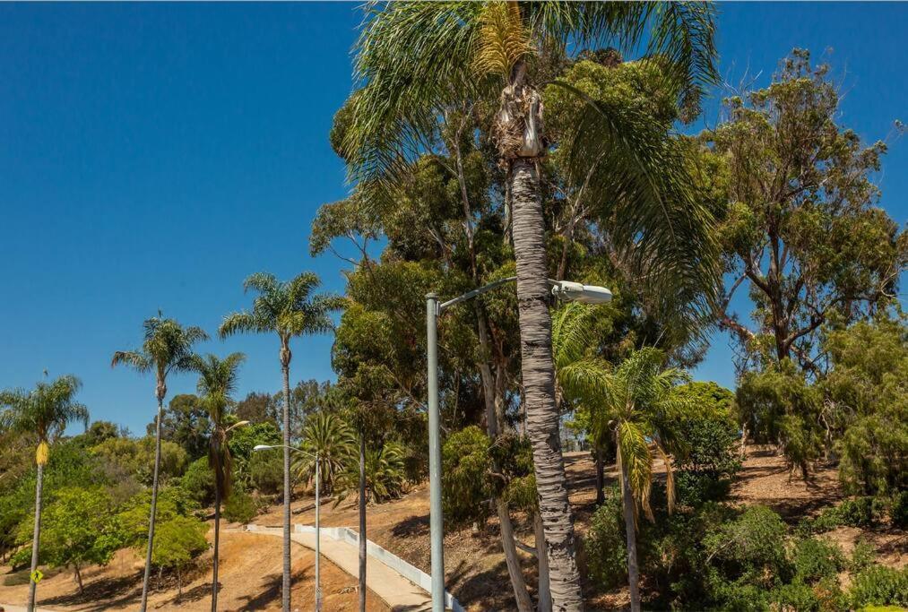 Cozy Studio Next To San Diego Dt And Balboa Park Exterior foto
